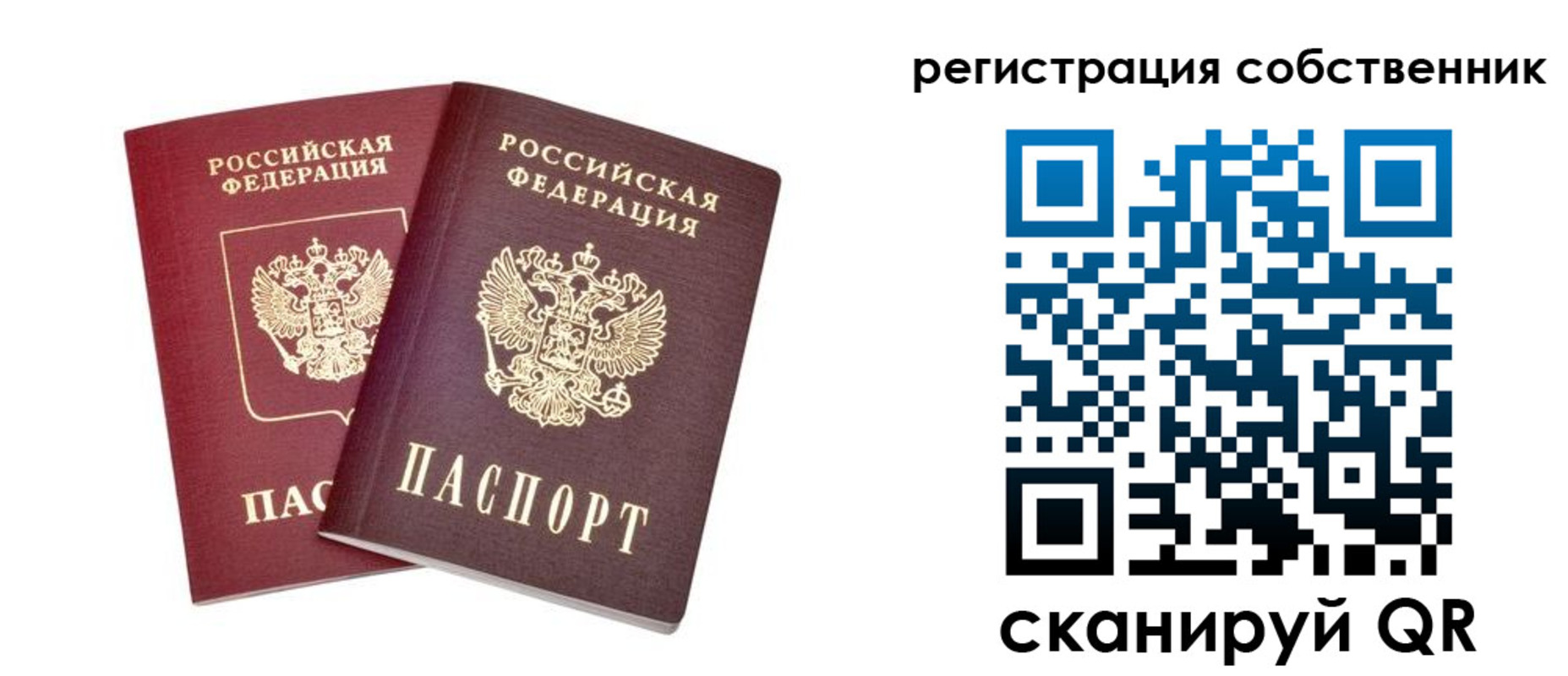 прописка поиск в Тульской области